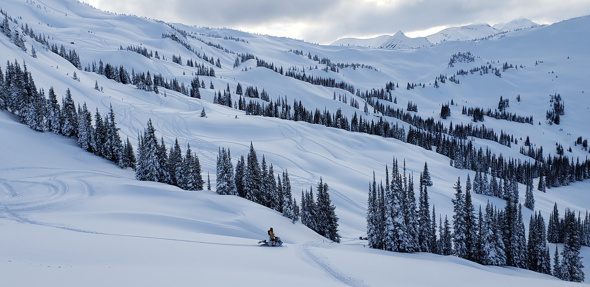 valemount snowmobiling stock image
